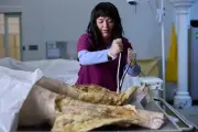 Saccharine : le body horror dévorant de Natalie Erika James
