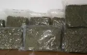Saisie record de cannabis en Essonne : plus d'une tonne de résine