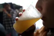 Salon de la bière artisanale à Draguignan : 8 brasseurs régionaux au jardin Anglès