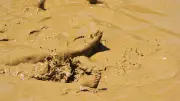 Sauvée des sables mouvants après trois jours de cauchemar aux États-Unis