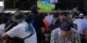SMS surtaxés : une manne pour les diffuseurs pendant la Coupe du monde