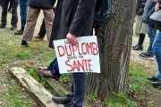 Sénat vote réintroduction pesticides interdits dans loi urgence agricole