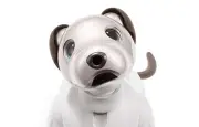 Sony enterre Aibo, son chien robot, après huit ans de service