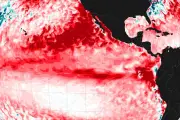 Super El Niño : les vigies du climat en état d'alerte