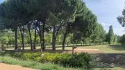 Tentative d'enlèvement d'un enfant à Montpellier : un homme interpellé près du parc Charpak