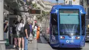 Tram à Montpellier : lignes 1, 2, 4 déviées pour maintenance lourde jusqu'au 3 juillet