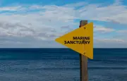 Trump rouvre trois sanctuaires marins du Pacifique à la pêche commerciale