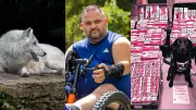 Tueur de loups condamné, tabac contrefait explose, dengue à Sète : actu régionale