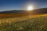 Un épisode El Niño exceptionnel pourrait frapper en 2026-2027