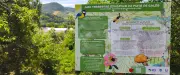 Une aire éducative pour étudier la biodiversité à Millau