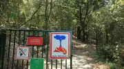 Vigilance rouge incendie à Montpellier : fermetures et restrictions ce 1er juillet