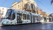 Viol d'un passant endormi à un arrêt de tramway à Montpellier : le suspect reconnaît les faits