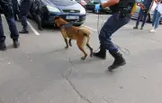 Violences policières à Rennes : une vidéo accablante, une plainte déposée