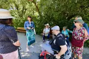 Visite inclusive du parc Olbius Riquier à Hyères : une expérience sensorielle unique