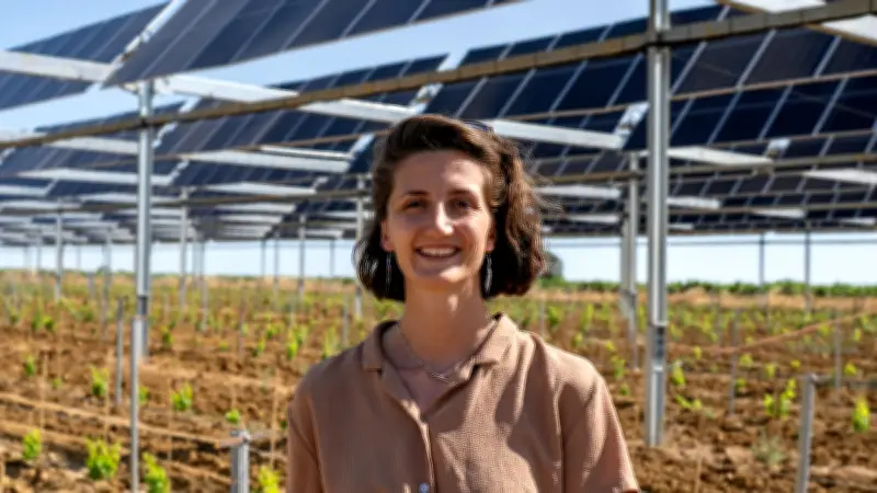 Agrivoltaïsme dynamique : -41% d'eau et -4°C pour les vignes de Servian