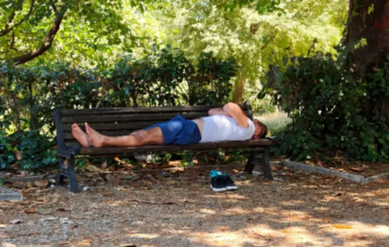 Après la canicule, le corps en phase de récupération : les conseils d'une médecin