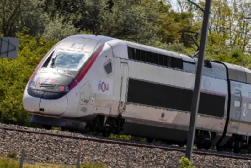 Après Neko, le chat Gina écrasé par un train : la SNCF interpellée