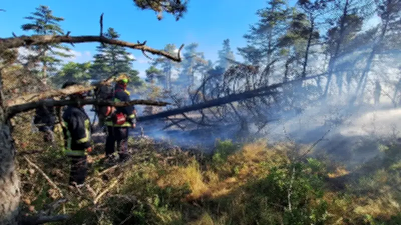 Aveyron : 19 pompiers en renfort dans l'Hérault pour un incendie de 900 hectares