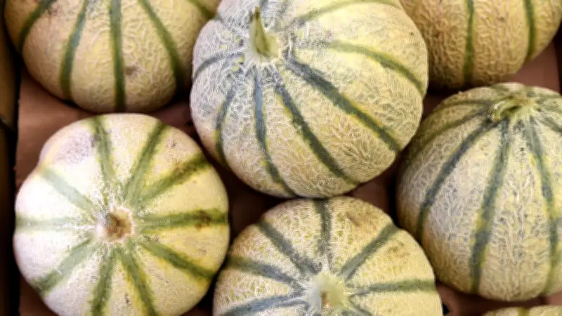 Banque Alimentaire du Gard : distribution gratuite de fruits et légumes ce jeudi