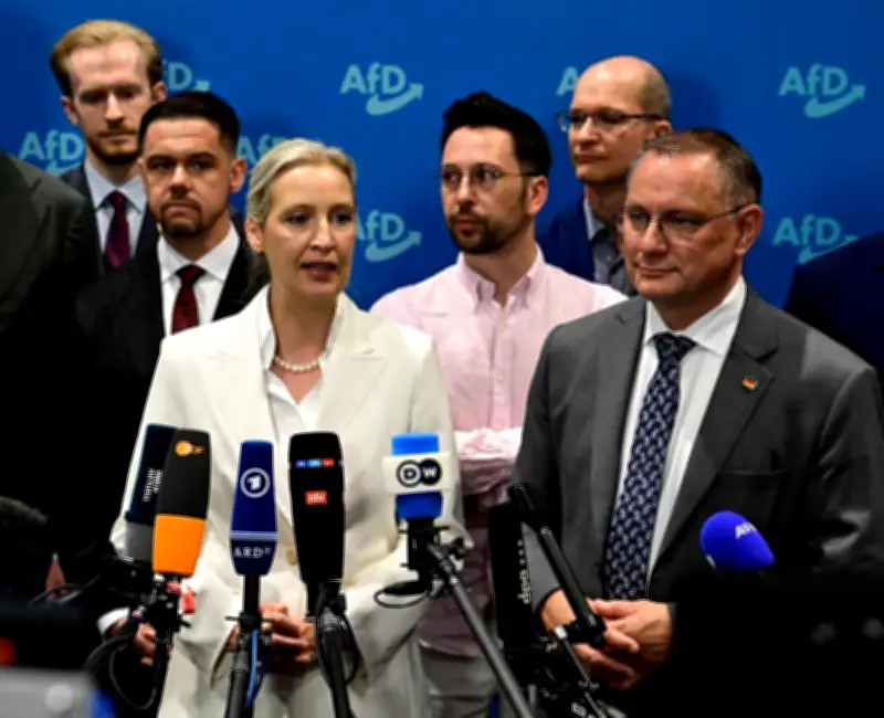 Berlin pourrait cacher des infos sensibles aux régions dirigées par l'AfD