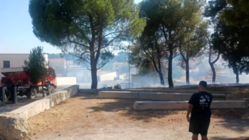 Béziers : incendie de végétation à La Devèze, 500 m² brûlés