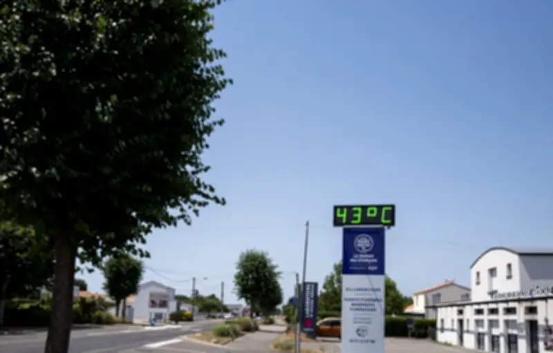 Canicule de juin : 2 000 décès supplémentaires, des corps décomposés sous les toits