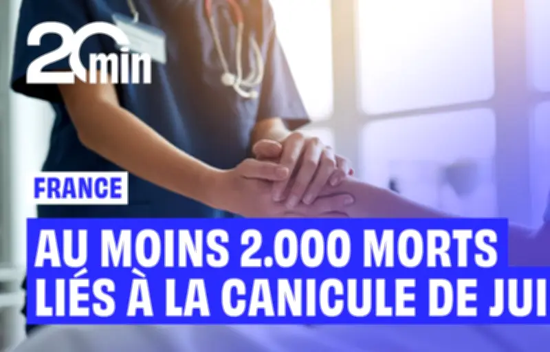 Canicule de juin 2026 : au moins 2 000 morts en France, bilan encore partiel