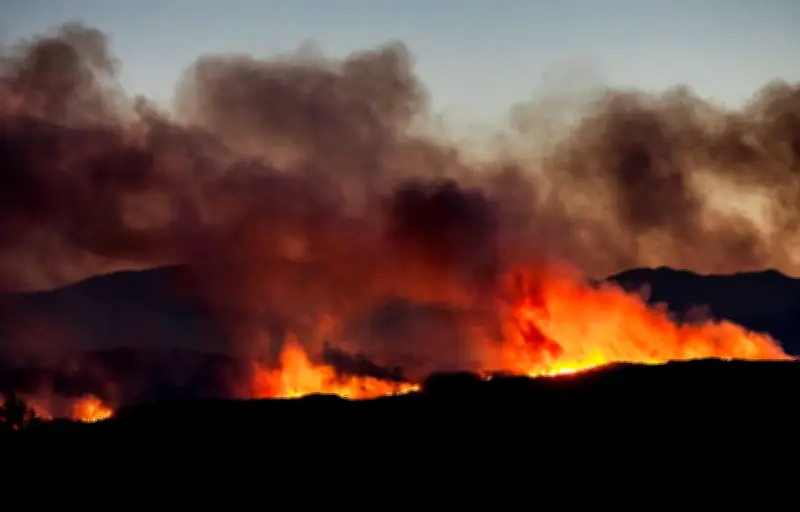 Canicule, incendies, aveux Jubillar, Mondial : le récap de ce lundi