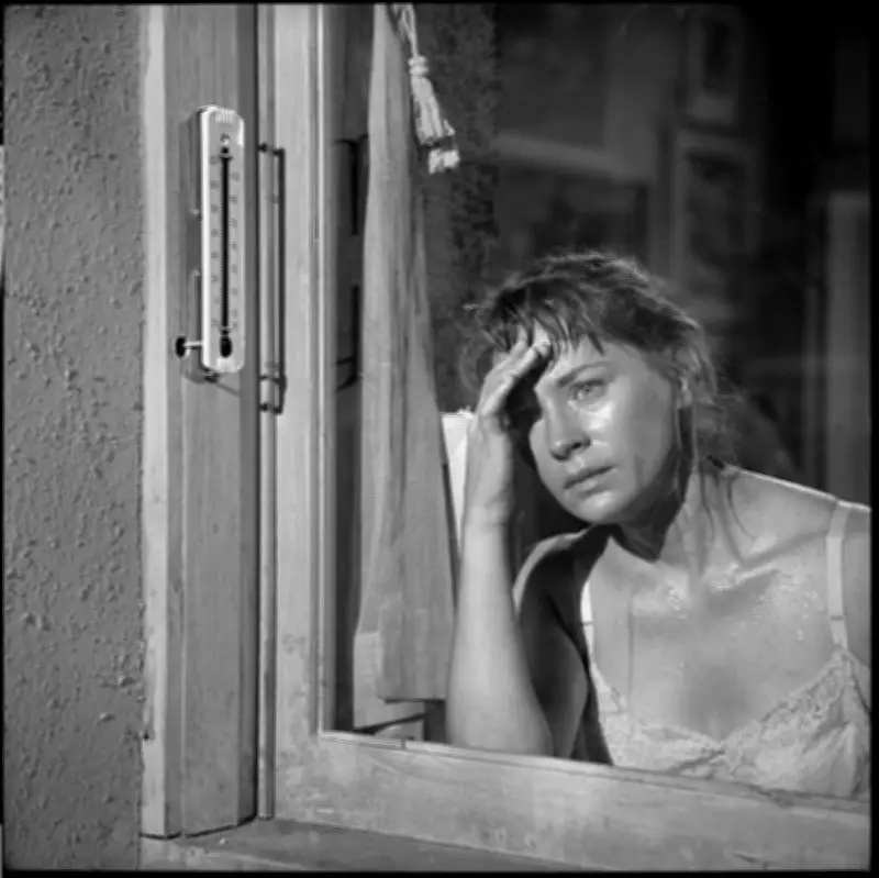 Canicule : la quatrième dimension, c'est maintenant