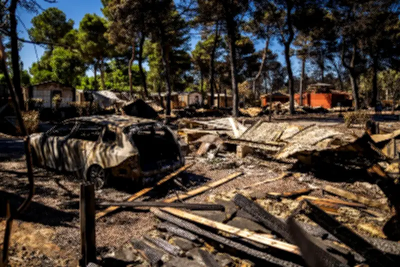 Canicule : le sud de la France en alerte orange, incendies ravageurs