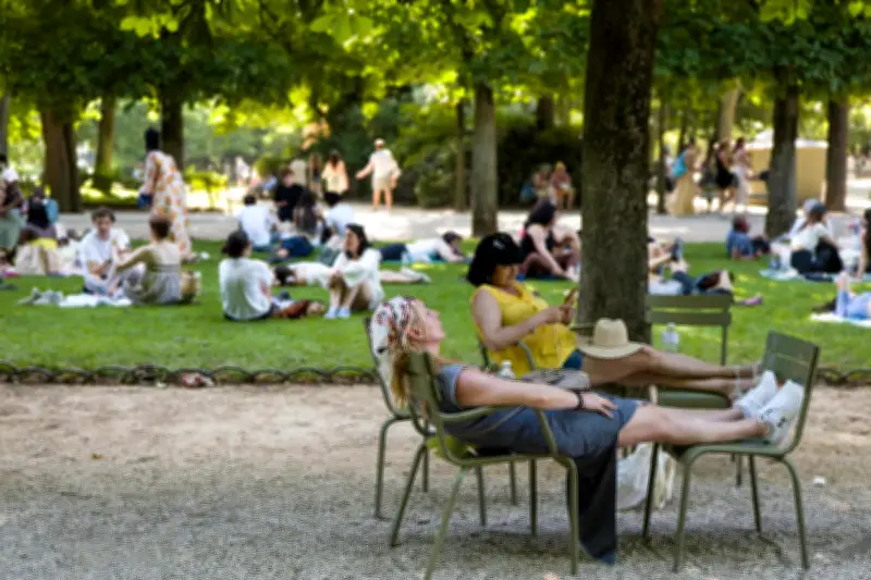 Canicule : le syndrome post-traumatique du « traumacule »
