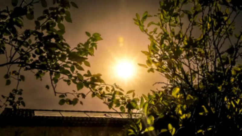 Canicule à Montpellier : dispositifs étendus face à l'orange