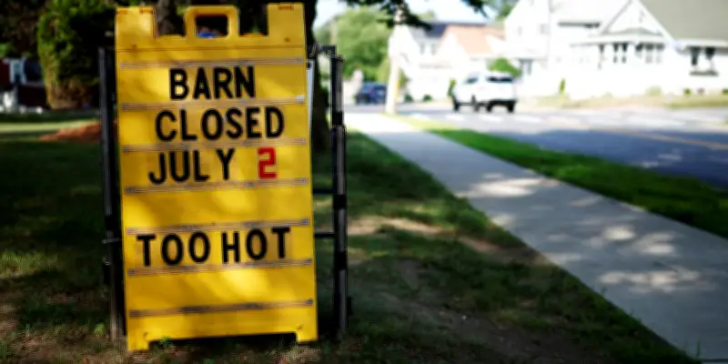 Canicule record aux États-Unis : 250 ans d'indépendance et Mondial perturbés