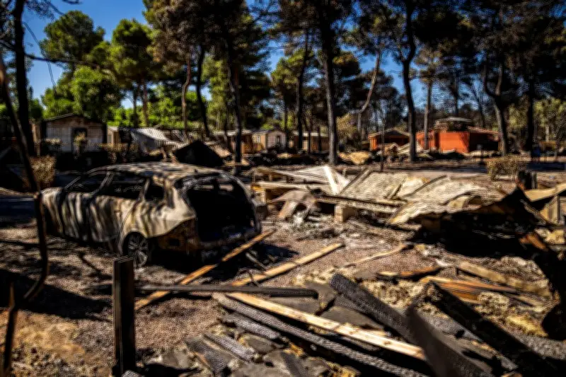 Canicule : surmortalité, incendies, GPA, l'actu du 3 juillet