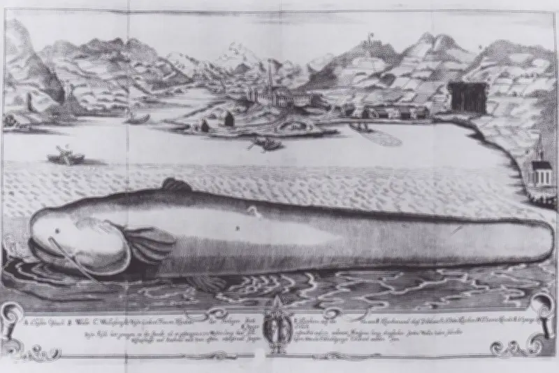 Cassie, le « monstre » du lac de Saint-Cassien, refait surface 60 ans après