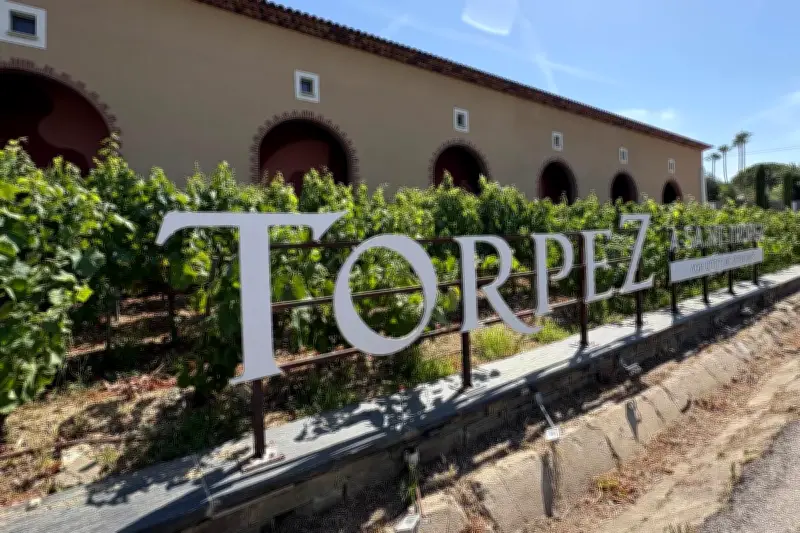 Cave coopérative de Saint-Tropez : redressement judiciaire et espoirs de renouveau
