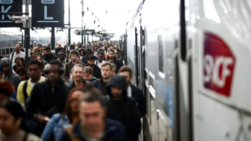 Chat décapité par un train à la gare de Lyon : le propriétaire témoigne