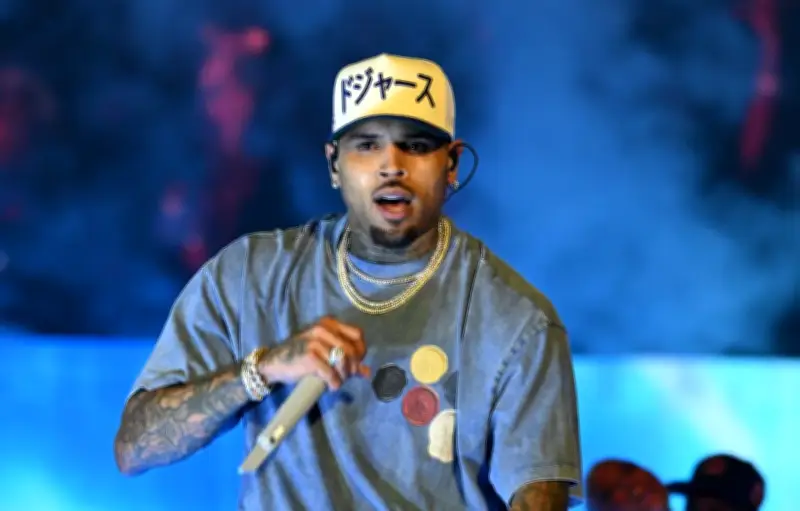 Chris Brown condamné à verser 12,9 millions de dollars à son ex-employée attaquée par son chien