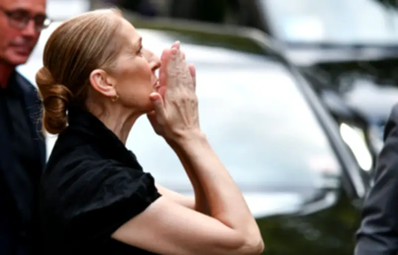 Céline Dion dévoile "Bonjour, pardon, merci", nouvel extrait de son album