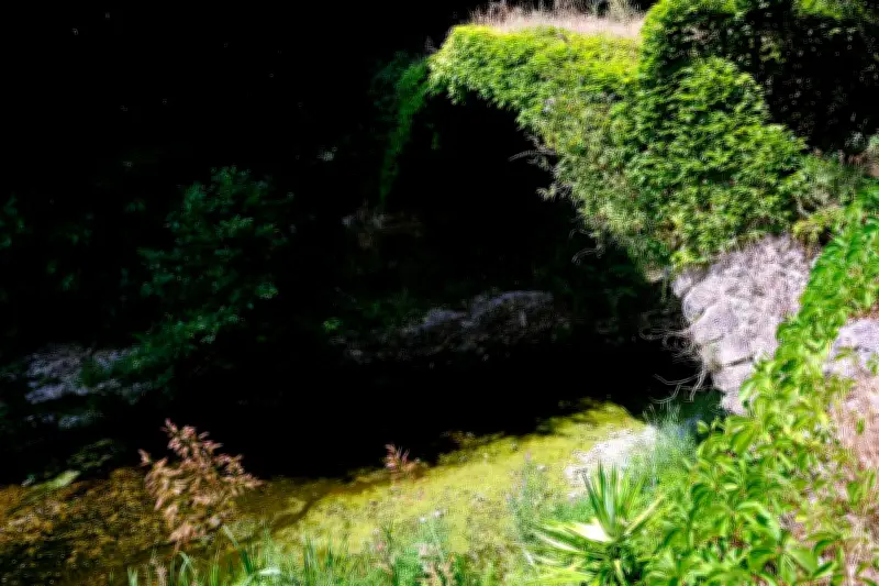 Cours d'eau verts à Antibes et Cannes : algues ou pollution ?