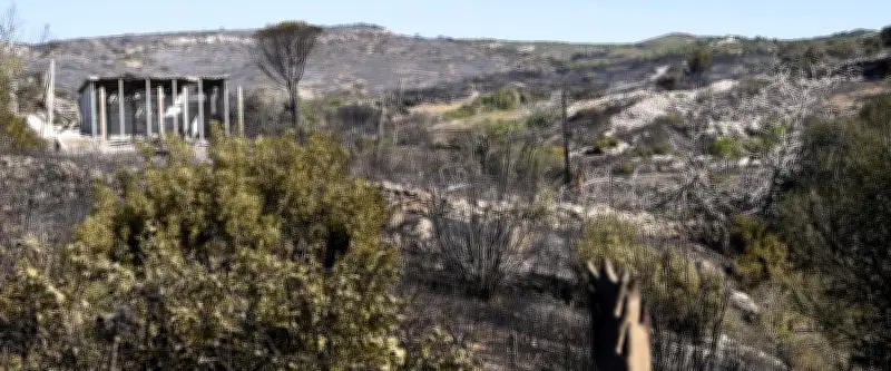 Débroussaillement à Frontignan : l'arme clé contre les incendies