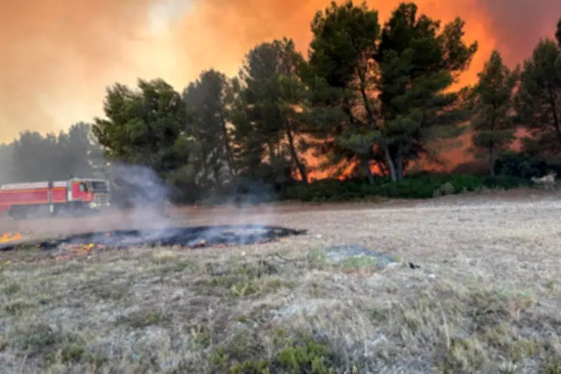 Deux incendies au nord de Marseille : 360 pompiers mobilisés, 22 massifs fermés