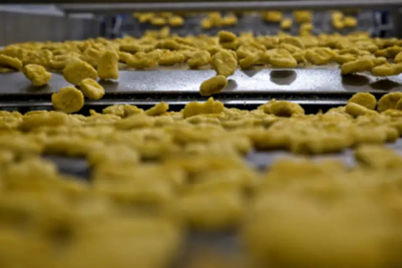 Du poulet de la poule au pot au nugget : une histoire fascinante