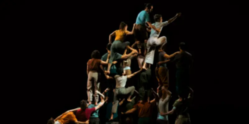 Festival d'Avignon : le cirque fait son entrée dans la cour des grands