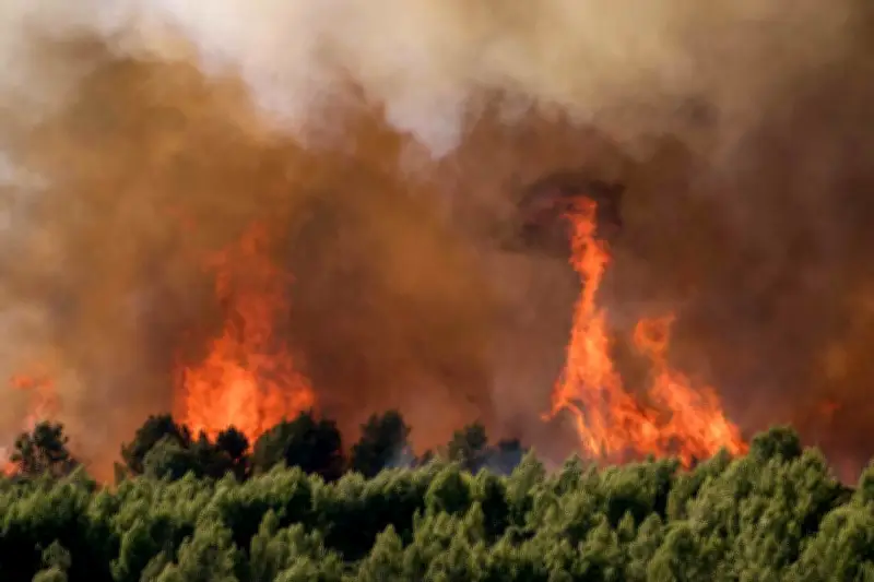 Feux de forêt : misez sur la prévention, pas seulement la lutte