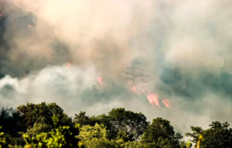 Feux de forêt : un été 2023 sous haute tension en France