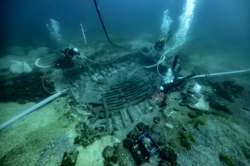Fouilles de l'épave Fort-Royal 1 à Cannes : nouveaux trésors antiques découverts