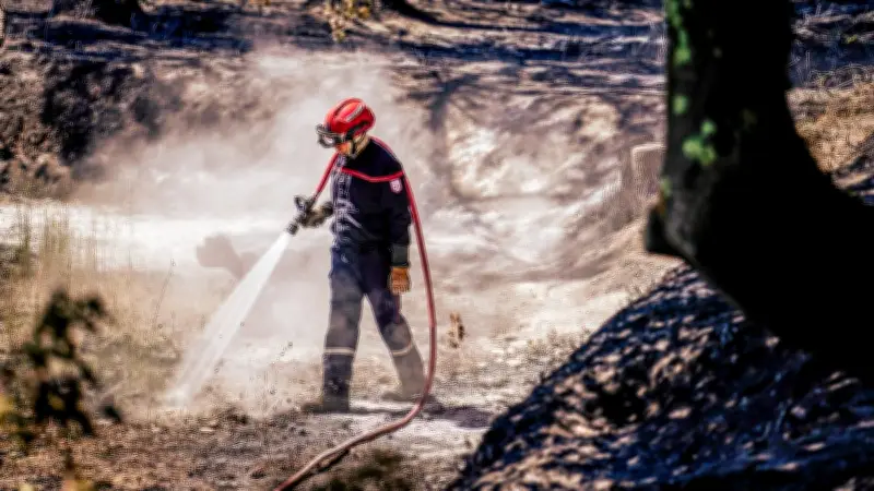 Gard : 540 hectares brûlés, 300 pompiers toujours mobilisés à Lédenon