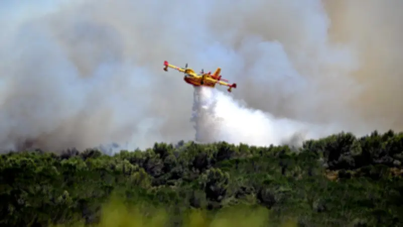 Gard : 540 hectares brûlés, trois maisons détruites près de Nîmes