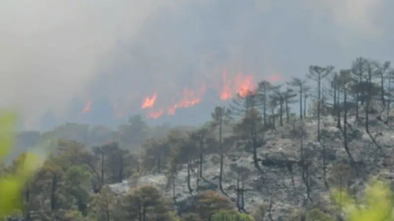 Hérault : 320 hectares brûlés, sept Canadair mobilisés à Carlencas